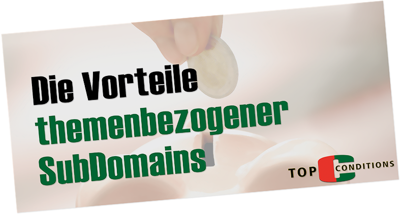 Vorteile von themenbezogenen SubDomains sind ...